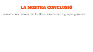 LA NOSTRA CONCLUSIÓ
La nostra conclusió és que les llavors necessiten aigua per germinar.
 