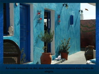 Às vezes   semearás na dor, mas também essa sementeira trará frutos de alegria.   