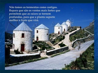 Não tomes as tormentas como castigos. Repara   que são os ventos mais fortes que permitem que as raízes se tornem profundas, para que   a planta suporte melhor o fruto que virá. 
