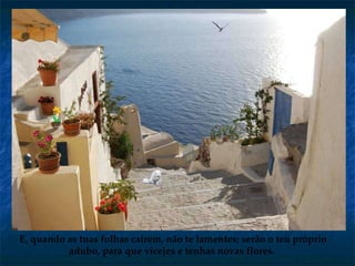 E, quando as tuas folhas cairem, não te lamentes; serão o teu próprio adubo, para que vicejes e tenhas novas flores.  