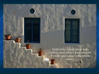 Cada acto, cada palavra, cada sorriso, cada olhar é uma semente. Permite que sejam sementes de amor… 
