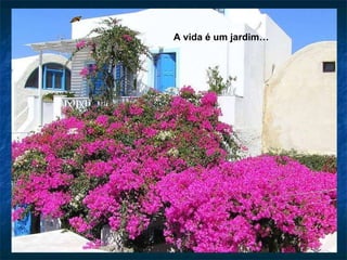 A vida é um jardim… 