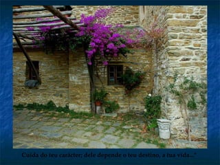 Cuida do teu carácter; dele depende o teu destino, a tua vida..."
 