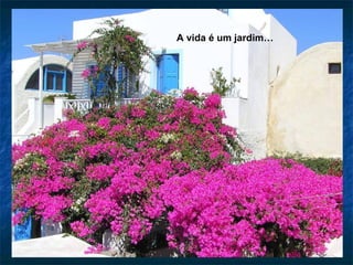 A vida é um jardim…
 