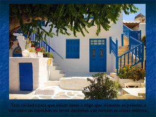 Tem cuidado para que sejam como o trigo que alimenta as pessoas, e
não como os espinhos ou ervas daninhas que tornam as almas estéreis.
 