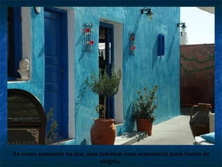 Às vezes semearás na dor, mas também essa sementeira trará frutos de
alegria.
 