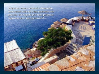 Algumas vezes semearás chorando,Algumas vezes semearás chorando,
mas quem sabe se a tua semente nãomas quem sabe se a tua semente não
precisa ser regada por tuas própriasprecisa ser regada por tuas próprias
lágrimas para que germine?!...lágrimas para que germine?!...
 