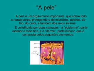 “A pele” A pele é um órgão muito importante, que cobre todo o nosso corpo, protegendo-o de micróbios, poeiras, do frio, do calor, e também dos raios solares.  É constituída por duas camadas - a “epiderme”, parte exterior e mais fina, e a “derme”, parte interior, que é composta pelos seguintes elementos: 