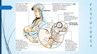 Cuidados de-enfermería-durante-la-lactancia-materna