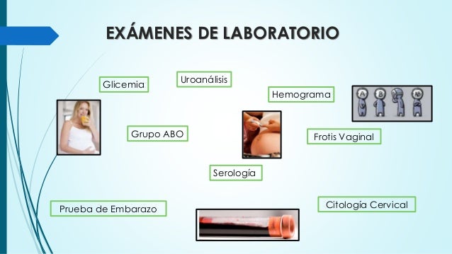 Cuidados De Enfermeria En El 1er Trimestre De Embarazo