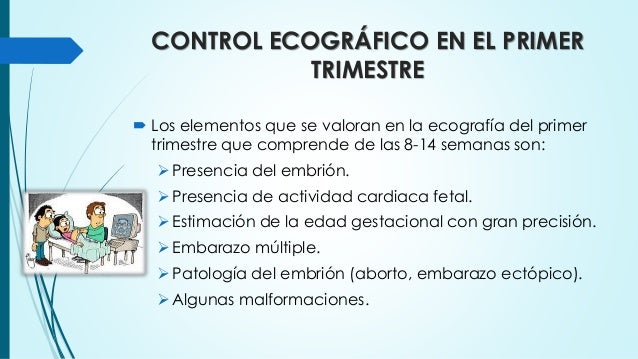 Cuidados De Enfermeria En El 1er Trimestre De Embarazo