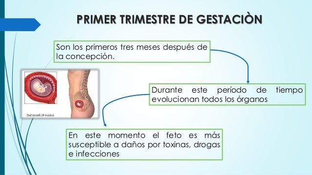 Cuidados De Enfermeria En El 1er Trimestre De Embarazo