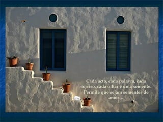 Cada acto, cada palavra, cada
sorriso, cada olhar é uma semente.
Permite que sejam sementes de
amor…
 