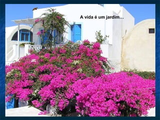 A vida é um jardim…
 