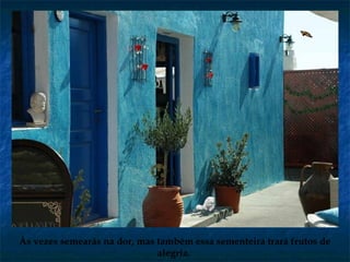 Às vezes semearás na dor, mas também essa sementeira trará frutos de
alegria.
 