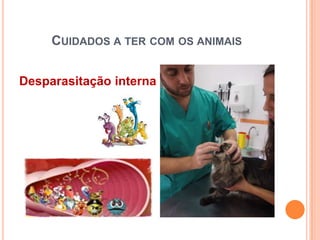 CUIDADOS A TER COM OS ANIMAIS


Desparasitação interna
 