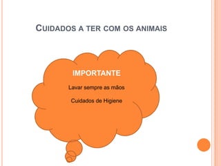 CUIDADOS A TER COM OS ANIMAIS



        IMPORTANTE
         IMPORTANTE
       Lavar sempre as mãos

      Lavar sempre as mãos
        Cuidados de Higiene
       Cuidados de Higiene
 