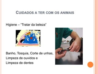 CUIDADOS A TER COM OS ANIMAIS

Higiene – “Tratar da beleza”




Banho, Tosquia, Corte de unhas,
Limpeza de ouvidos e
Limpeza de dentes
 