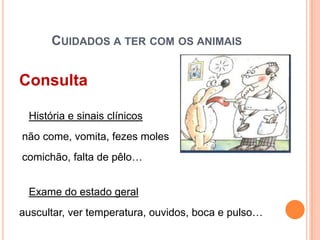 CUIDADOS A TER COM OS ANIMAIS


Consulta

 História e sinais clínicos
não come, vomita, fezes moles
comichão, falta de pêlo…


 Exame do estado geral
auscultar, ver temperatura, ouvidos, boca e pulso…
 