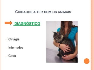 CUIDADOS A TER COM OS ANIMAIS


        DIAGNÓSTICO



-   Cirurgia

-   Internados

-   Casa
 