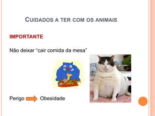 CUIDADOS A TER COM OS ANIMAIS

IMPORTANTE

Não deixar “cair comida da mesa”




Perigo       Obesidade
 