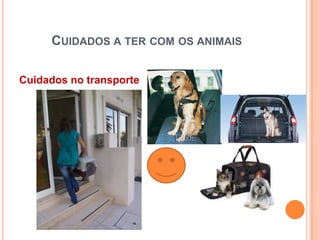 CUIDADOS A TER COM OS ANIMAIS

Cuidados no transporte
 