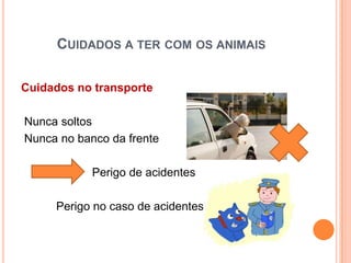 CUIDADOS A TER COM OS ANIMAIS

Cuidados no transporte

Nunca soltos
Nunca no banco da frente

            Perigo de acidentes

     Perigo no caso de acidentes
 