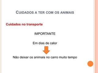 CUIDADOS A TER COM OS ANIMAIS

Cuidados no transporte

                  IMPORTANTE

                 Em dias de calor



    Não deixar os animais no carro muito tempo
 