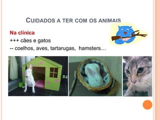 CUIDADOS A TER COM OS ANIMAIS
Na clínica
+++ cães e gatos
-- coelhos, aves, tartarugas, hamsters…
 