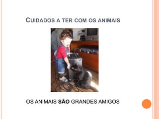 CUIDADOS A TER COM OS ANIMAIS




OS ANIMAIS SÃO GRANDES AMIGOS
 