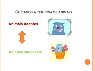 CUIDADOS A TER COM OS ANIMAIS


Animais doentes




Animais saudáveis
 