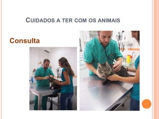 CUIDADOS A TER COM OS ANIMAIS


Consulta
 