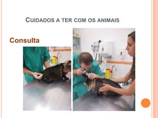 CUIDADOS A TER COM OS ANIMAIS


Consulta
 