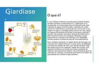 Giardíase O que é?
É uma infeção intestinal causada pelo parasita Giardia
lamblia (também conhecida por G. intestinalis ou G.
duodenalis). A transmissão ocorre habitualmente pela
ingestão de águas contaminadas, havendo por vezes
surtos em infantários e centros de dia. Como tem a sua
origem na água, o contágio pode ocorrer em rios, lagos,
em águas proveniente de fontes municipais, piscinas e
jacuzzis. Ou também acontecer através de alimentos e
pelo contacto direto com pessoas infetadas. É mais
frequente em crianças e em doentes com VIH/SIDA,
fibrose quística e outras formas de imunodeficiência.
Num trabalho realizado na região Norte de Portugal, em
crianças com idades entre um e cinco anos, foi detetada
uma taxa de infeção de 3,4%, por Giardia lamblia. Este
tipo pode ocorrer em qualquer região do mundo, com
especial incidência em áreas com más condições de
higiene e de saneamento básico. Os principais grupos de
risco são as crianças, as pessoas que lidam com elas e as
populações sem acesso a água potável.
 