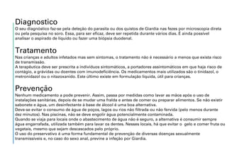 Diagnostico
O seu diagnóstico faz-se pela deteção do parasita ou dos quistos de Giardia nas fezes por microscopia direta
ou pela pesquisa no soro. Essa, para ser eficaz, deve ser repetida durante vários dias. É ainda possível
analisar o aspirado de líquido ou fazer uma biópsia duodenal.
Tratamento
Nas crianças e adultos infetados mas sem sintomas, o tratamento não é necessário a menos que exista risco
de transmissão.
A terapêutica deve ser prescrita a indivíduos sintomáticos, a portadores assintomáticos em que haja risco de
contágio, a grávidas ou doentes com imunodeficiência. Os medicamentos mais utilizados são o tinidazol, o
metronidazol ou o nitazoxanido. Este último existe em formulação líquida, útil para crianças.
Prevenção
Nenhum medicamento a pode prevenir. Assim, passa por medidas como lavar as mãos após o uso de
instalações sanitárias, depois de se mudar uma fralda e antes de comer ou preparar alimentos. Se não existir
sabonete e água, um desinfectante à base de álcool é uma boa alternativa.
Deve-se evitar o consumo de água de poços, lagos ou rios não filtrada ou não fervida (pelo menos durante
dez minutos). Nas piscinas, não se deve engolir água potencialmente contaminada.
Quando se viaja para locais onde o abastecimento de água não é seguro, a alternativa é consumir sempre
água engarrafada, utilizada também para lavar os dentes. Nesses locais, há que evitar o gelo e comer fruta ou
vegetais, mesmo que sejam descascados pelo próprio.
O uso do preservativo é uma forma fundamental de prevenção de diversas doenças sexualmente
transmissíveis e, no caso do sexo anal, previne a infeção por Giardia.
 