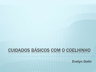 CUIDADOS BÁSICOS COM O COELHINHO
Evelyn Golin
 