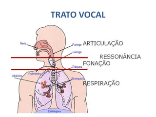 TRATO VOCAL
 
