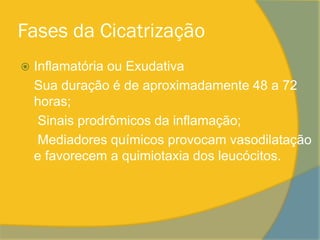 Fases da Cicatrização
   Inflamatória ou Exudativa
    Sua duração é de aproximadamente 48 a 72
    horas;
     Sinais prodrômicos da inflamação;
     Mediadores químicos provocam vasodilatação
    e favorecem a quimiotaxia dos leucócitos.
 