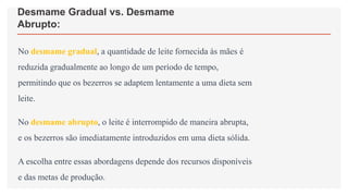 Desmame Gradual vs. Desmame
Abrupto:
No desmame gradual, a quantidade de leite fornecida às mães é
reduzida gradualmente ao longo de um período de tempo,
permitindo que os bezerros se adaptem lentamente a uma dieta sem
leite.
No desmame abrupto, o leite é interrompido de maneira abrupta,
e os bezerros são imediatamente introduzidos em uma dieta sólida.
A escolha entre essas abordagens depende dos recursos disponíveis
e das metas de produção.
 