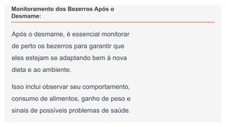 Monitoramento dos Bezerros Após o
Desmame:
Após o desmame, é essencial monitorar
de perto os bezerros para garantir que
eles estejam se adaptando bem à nova
dieta e ao ambiente.
Isso inclui observar seu comportamento,
consumo de alimentos, ganho de peso e
sinais de possíveis problemas de saúde.
 