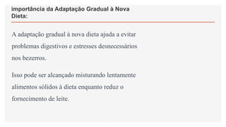 importância da Adaptação Gradual à Nova
Dieta:
A adaptação gradual à nova dieta ajuda a evitar
problemas digestivos e estresses desnecessários
nos bezerros.
Isso pode ser alcançado misturando lentamente
alimentos sólidos à dieta enquanto reduz o
fornecimento de leite.
 