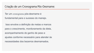 Criação de um Cronograma Pós-Desmame:
Ter um cronograma pós-desmame é
fundamental para o sucesso do manejo.
Isso envolve a definição de metas e marcos
para o crescimento, monitoramento da dieta,
acompanhamento do ganho de peso e
ajustes conforme necessário para atender às
necessidades dos bezerros desmamados.
 