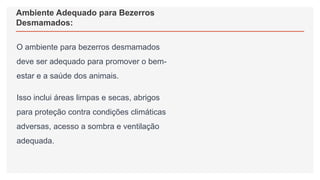 Ambiente Adequado para Bezerros
Desmamados:
O ambiente para bezerros desmamados
deve ser adequado para promover o bem-
estar e a saúde dos animais.
Isso inclui áreas limpas e secas, abrigos
para proteção contra condições climáticas
adversas, acesso a sombra e ventilação
adequada.
 