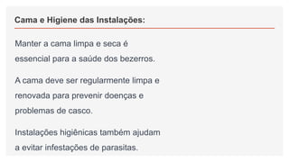 Cama e Higiene das Instalações:
Manter a cama limpa e seca é
essencial para a saúde dos bezerros.
A cama deve ser regularmente limpa e
renovada para prevenir doenças e
problemas de casco.
Instalações higiênicas também ajudam
a evitar infestações de parasitas.
 