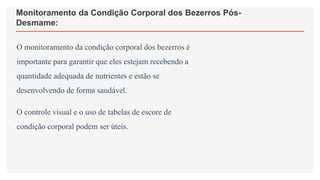 Monitoramento da Condição Corporal dos Bezerros Pós-
Desmame:
O monitoramento da condição corporal dos bezerros é
importante para garantir que eles estejam recebendo a
quantidade adequada de nutrientes e estão se
desenvolvendo de forma saudável.
O controle visual e o uso de tabelas de escore de
condição corporal podem ser úteis.
 