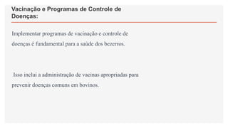 Vacinação e Programas de Controle de
Doenças:
Implementar programas de vacinação e controle de
doenças é fundamental para a saúde dos bezerros.
Isso inclui a administração de vacinas apropriadas para
prevenir doenças comuns em bovinos.
 