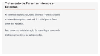 Tratamento de Parasitas Internos e
Externos:
O controle de parasitas, tanto internos (vermes) quanto
externos (carrapatos, moscas), é crucial para o bem-
estar dos bezerros.
Isso envolve a administração de vermífugos e o uso de
métodos de controle de ectoparasitas.
 