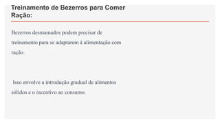 Treinamento de Bezerros para Comer
Ração:
Bezerros desmamados podem precisar de
treinamento para se adaptarem à alimentação com
ração.
Isso envolve a introdução gradual de alimentos
sólidos e o incentivo ao consumo.
 