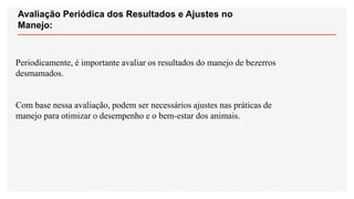 Avaliação Periódica dos Resultados e Ajustes no
Manejo:
Periodicamente, é importante avaliar os resultados do manejo de bezerros
desmamados.
Com base nessa avaliação, podem ser necessários ajustes nas práticas de
manejo para otimizar o desempenho e o bem-estar dos animais.
 