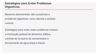 Estratégias para Evitar Problemas
Digestivos:
Bezerros desmamados são suscetíveis a
problemas digestivos, como diarreia e acidose
ruminal.
Estratégias para evitar esses problemas incluem
a introdução gradual de alimentos sólidos,
controle de consumo de concentrados e
fornecimento de água limpa e fresca.
 